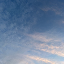 carena ˚ ༘ ♡︎