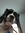 Lily Rose Dorothea | 1454 comments
