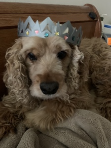 Maggie