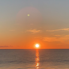 &#x1f408;‍⬛&#x1f408;‍⬛