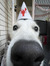 Ines
