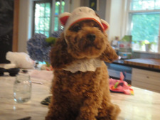 jackson, this is olive