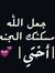 Reda Ashraf