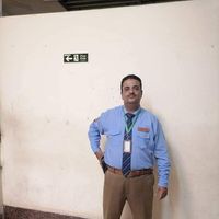 محمد النجار