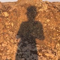 Володимир Войтенко