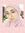 Souki Hild