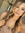 Emily Cook