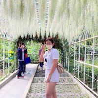Ayra Mae