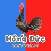 Đức Hồng