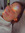 thalia (thaliabrooke) | 3 comments