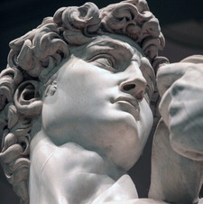 David
