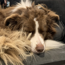 Astro