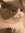 Fer