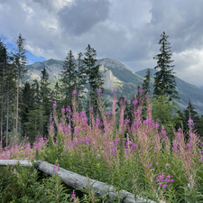 bumdum