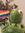 member photo member photo