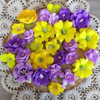 Ралица Илиева