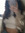 Lind