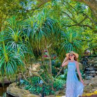 Ly Phạm Ngọc Hương