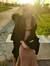 Asmaa I...