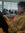 Juanisss | 1 comments