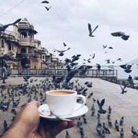 فرات اللغة العربية