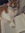 Libby t...