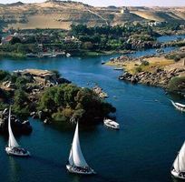 سلمان النوبي