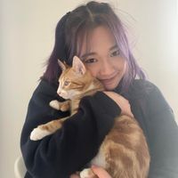 Xinxin Chen