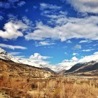 Haris Afg