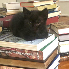 mirella‧₊˚✧･ﾟ