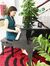 Dam Phuong