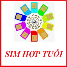 Tìm Sim Hợp Tuổi