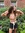 Bailey Kruse | 1 comments
