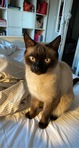 Kina