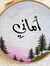 Amany N...