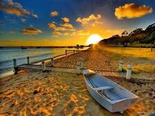 عبدالرحمن بدر