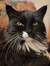 Lenore ...