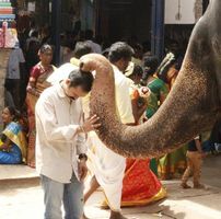 Krishnaraj Cherungotil
