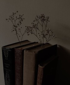 sonaslibrary 