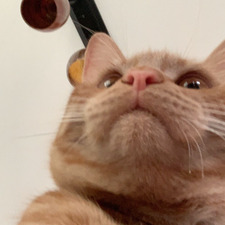 &#x1f33a; aidan &#x1f33a;