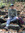 Deb (debmess) | 4 comments