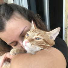 Sendi e Coco  &#x1f408;