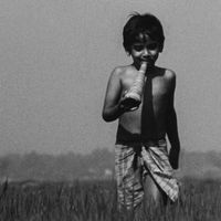 মাহাবুব হাসান