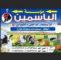 ابوعلي للكتاكيت والاعلاف