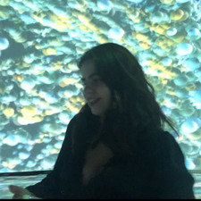 Ecem Arı