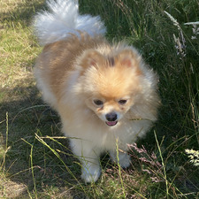 A L E X A N D R A✨