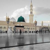 د.أحمد أحمد