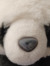 Riley Wen