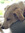 Paul (loopyjazz) | 7 comments