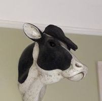 Christopher Bradshaw